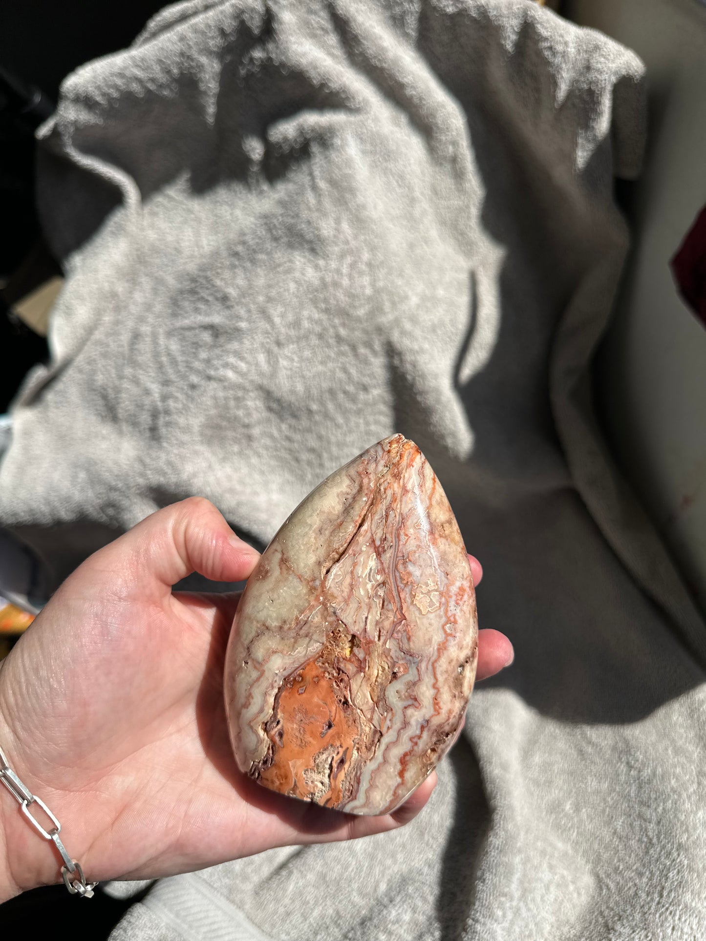 Pink Crazy Lace Freeform