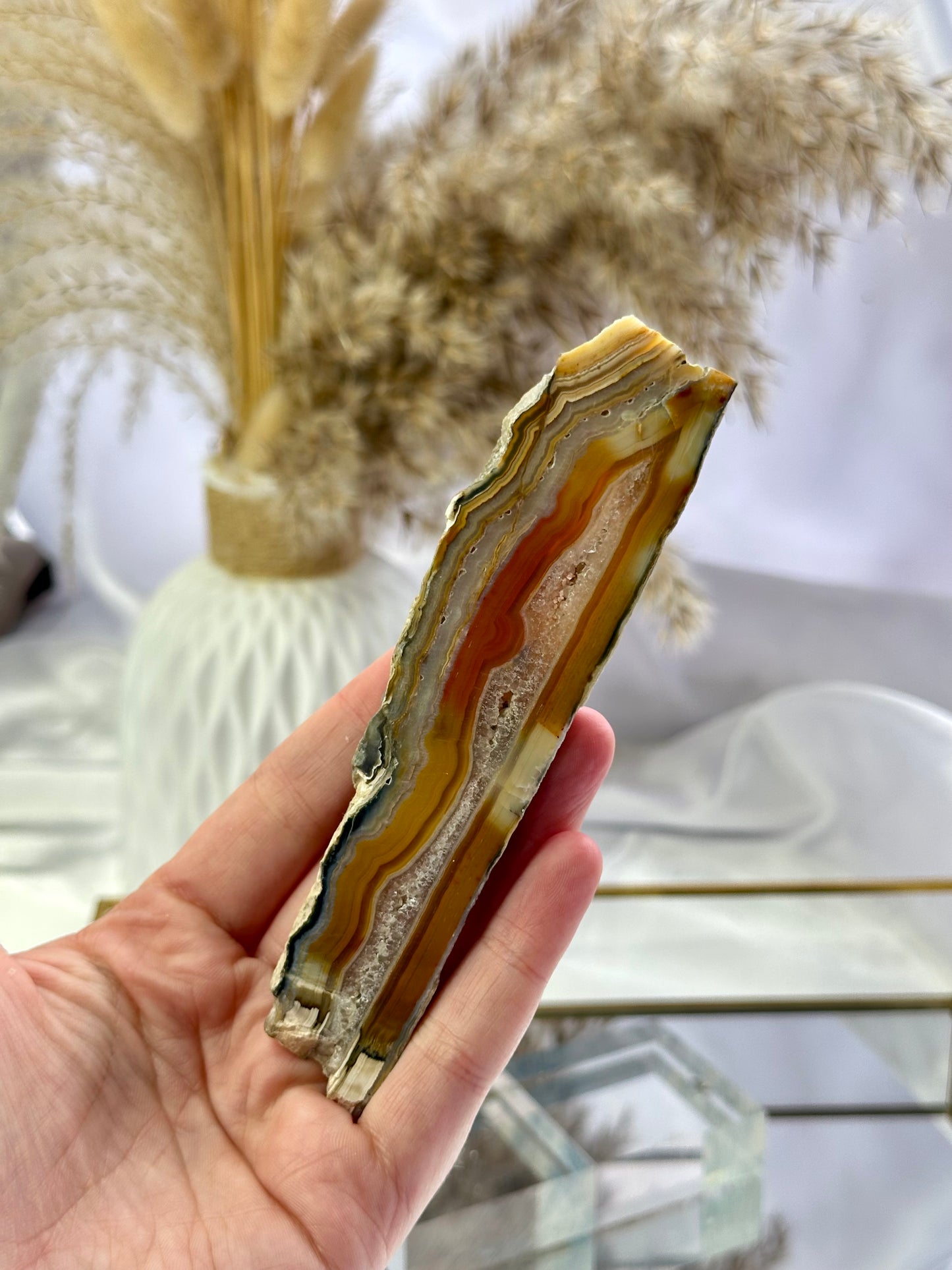 Crazy Lace Agate Slice (A)