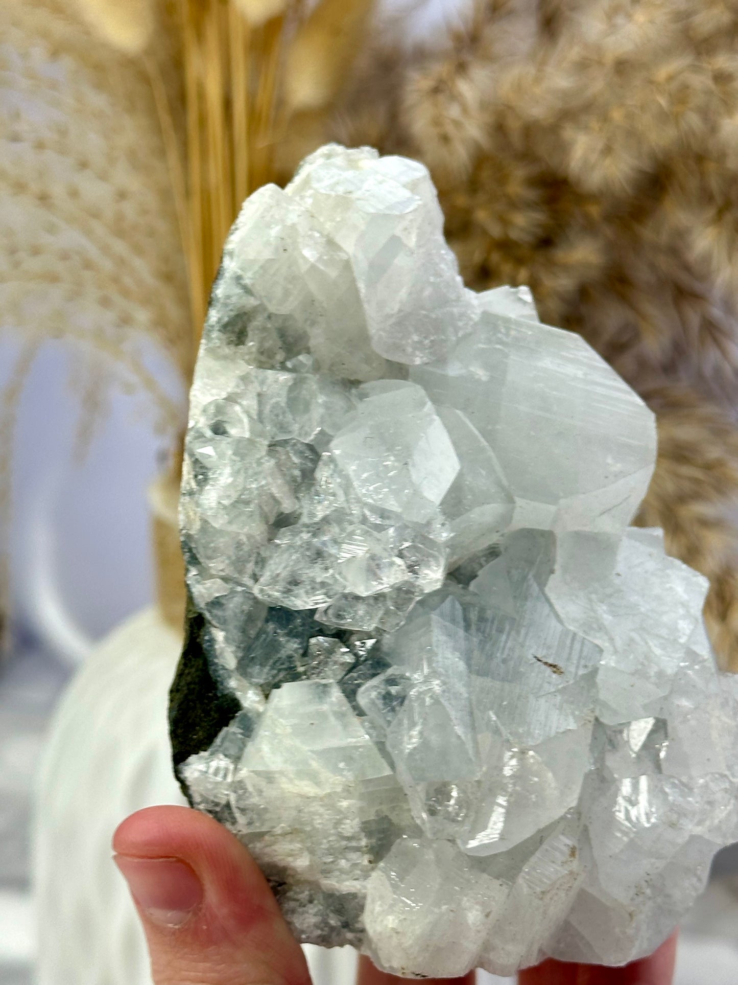 Apophyllite Cluster
