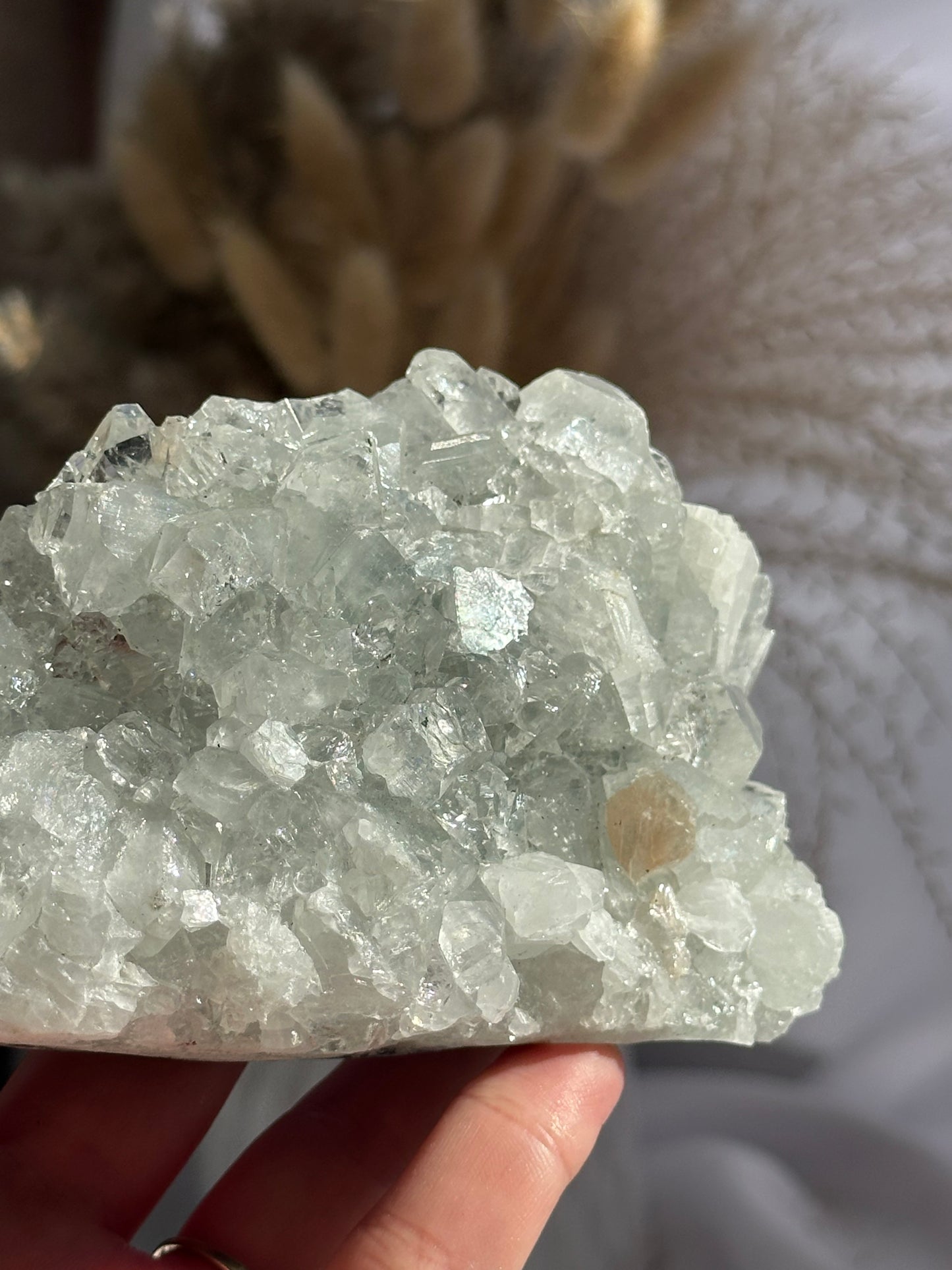 Apophyllite Cluster