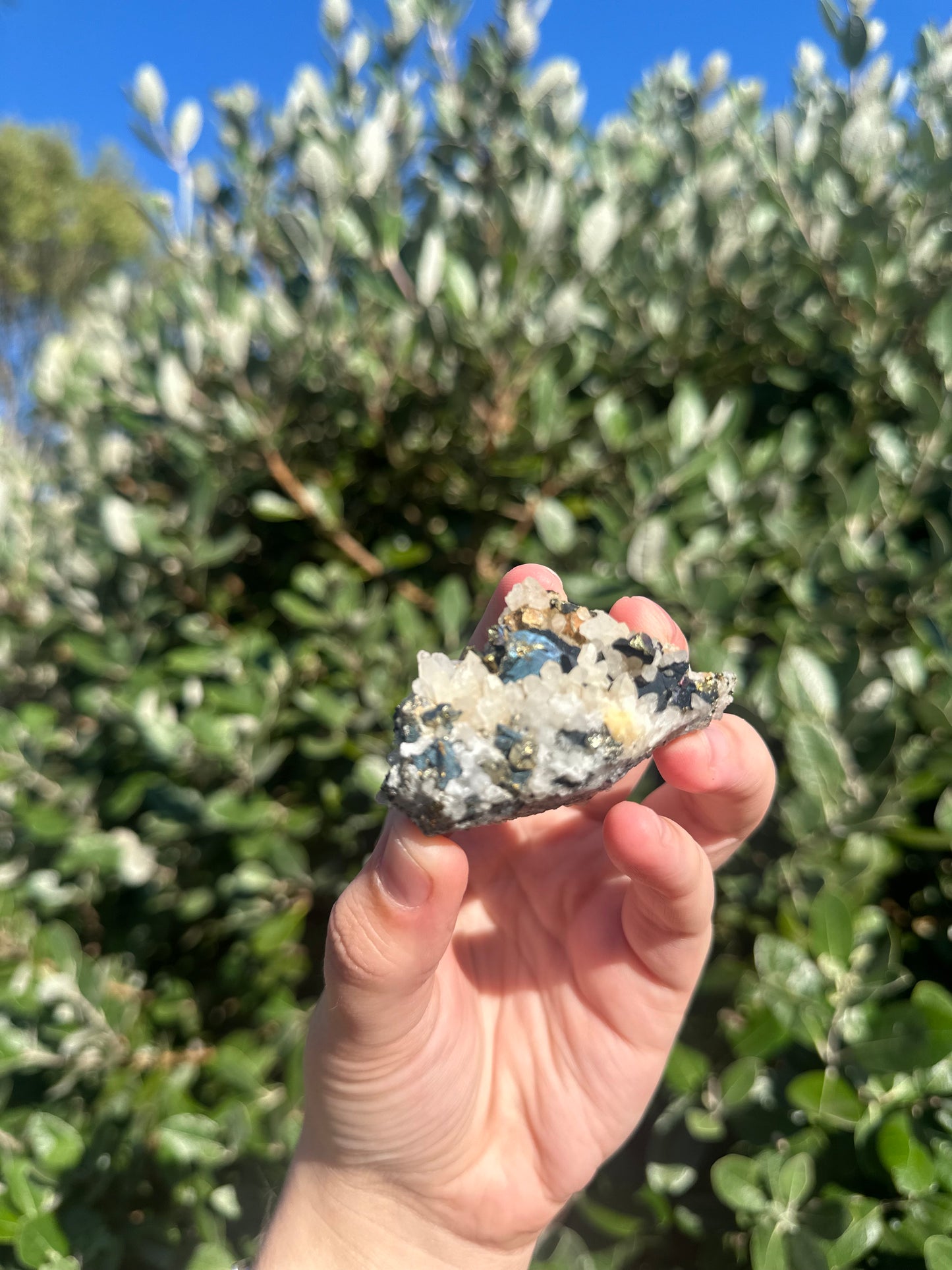 Pyrite, Chalcopyrite & Sphalerite On Quartz