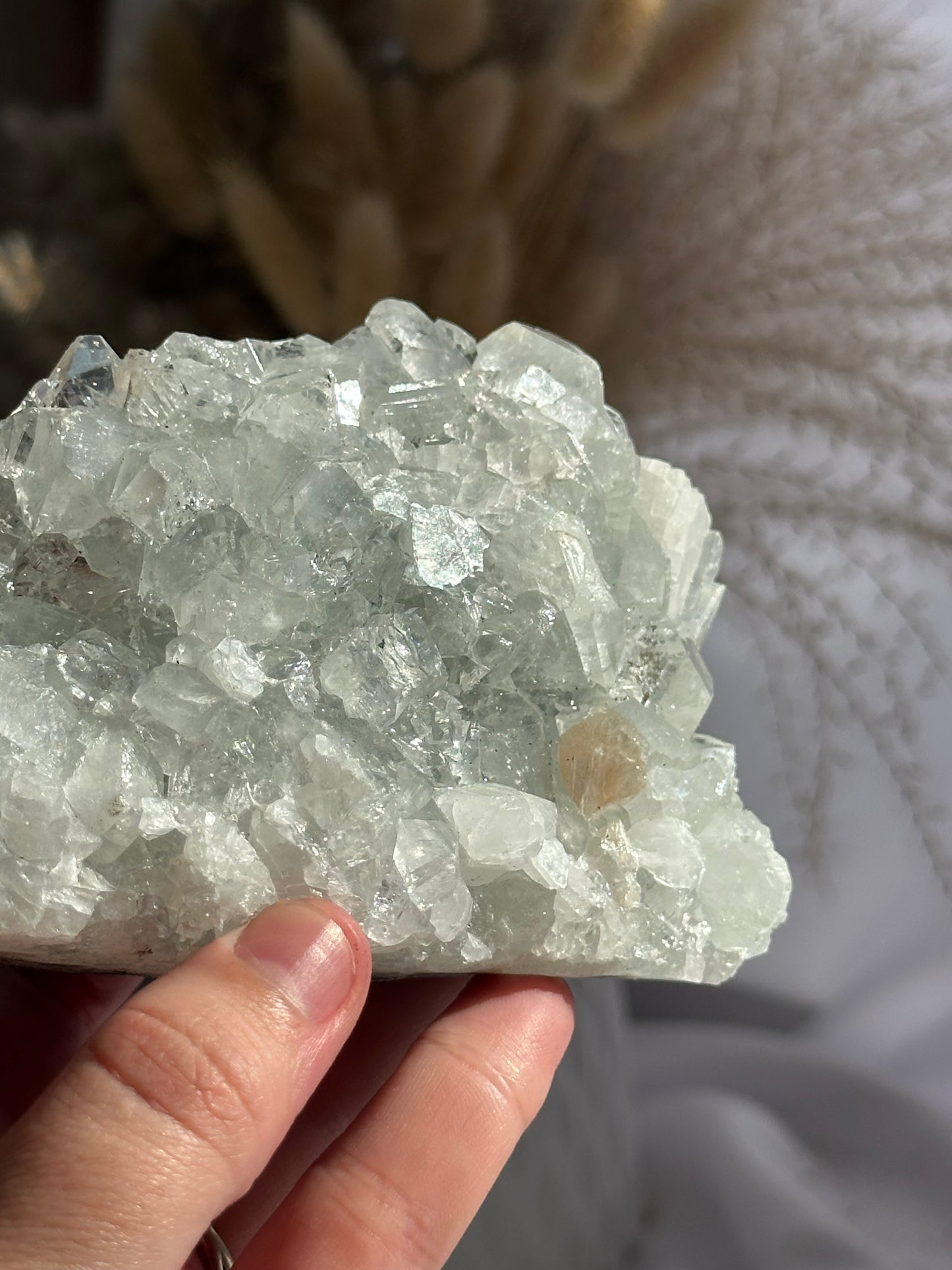 Apophyllite Cluster