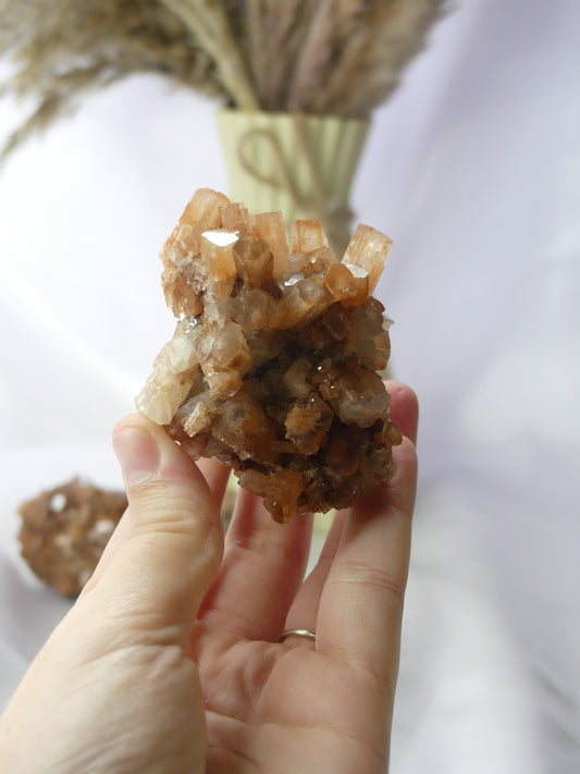 Aragonite Sputnik