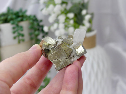 Cube Pyrite With Quartz (B)