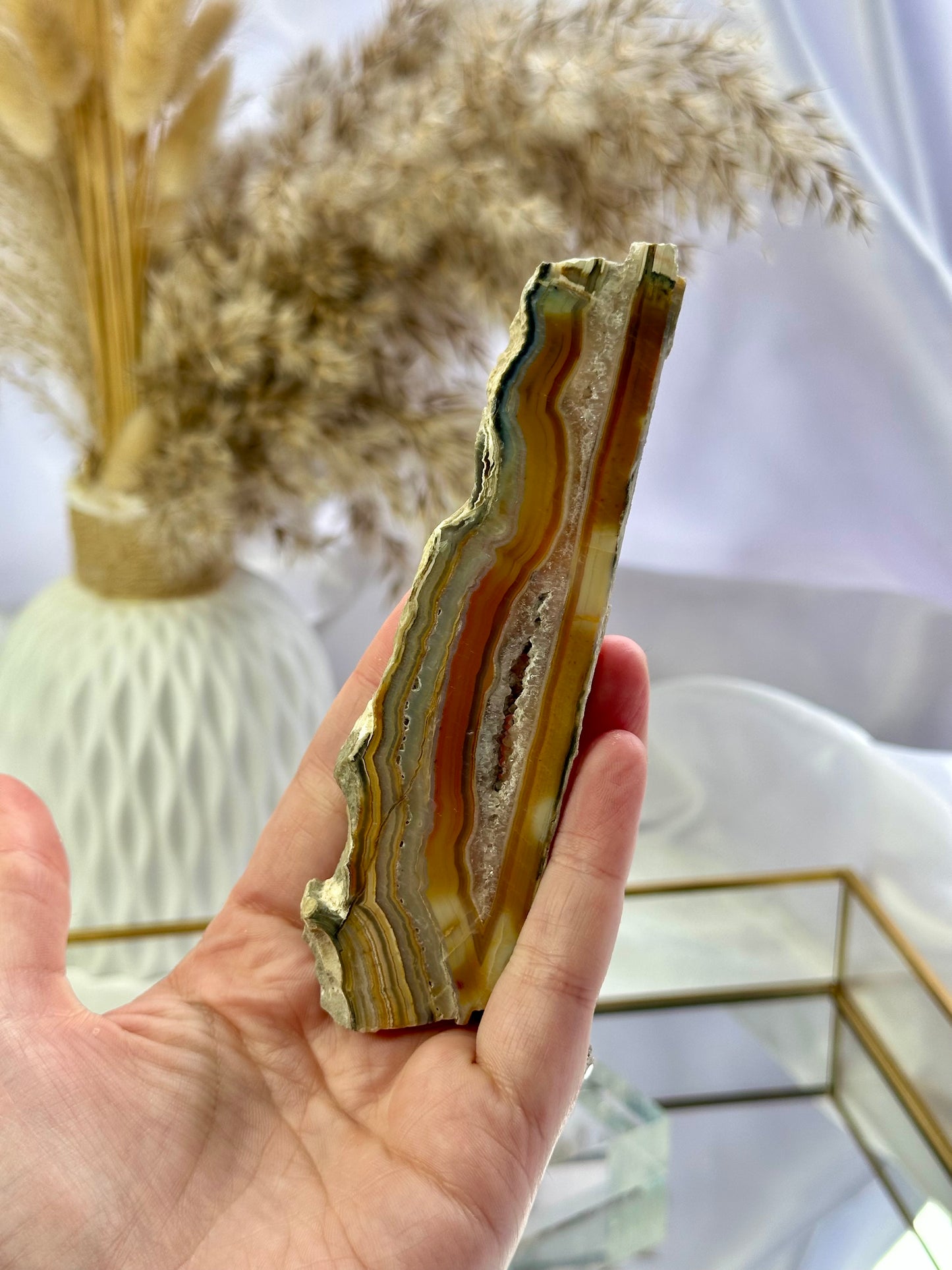 Crazy Lace Agate Slice (B)