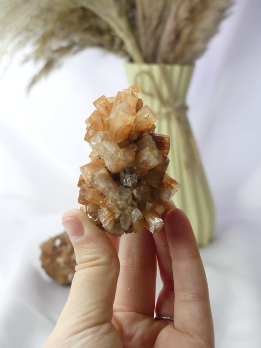 Aragonite Sputnik