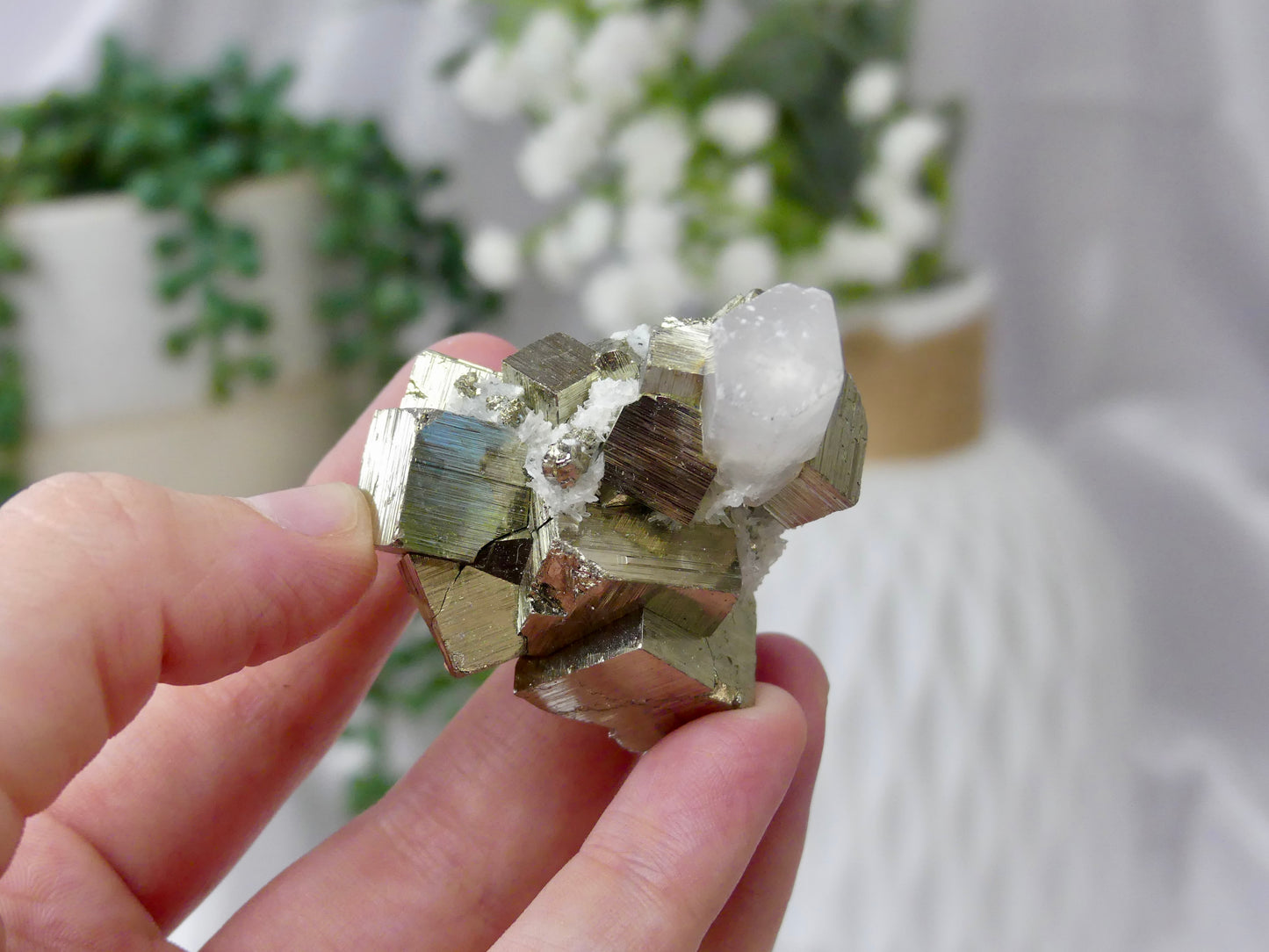 Cube Pyrite With Quartz (B)