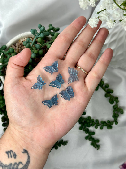 Aquamarine Butterfly (HQ)