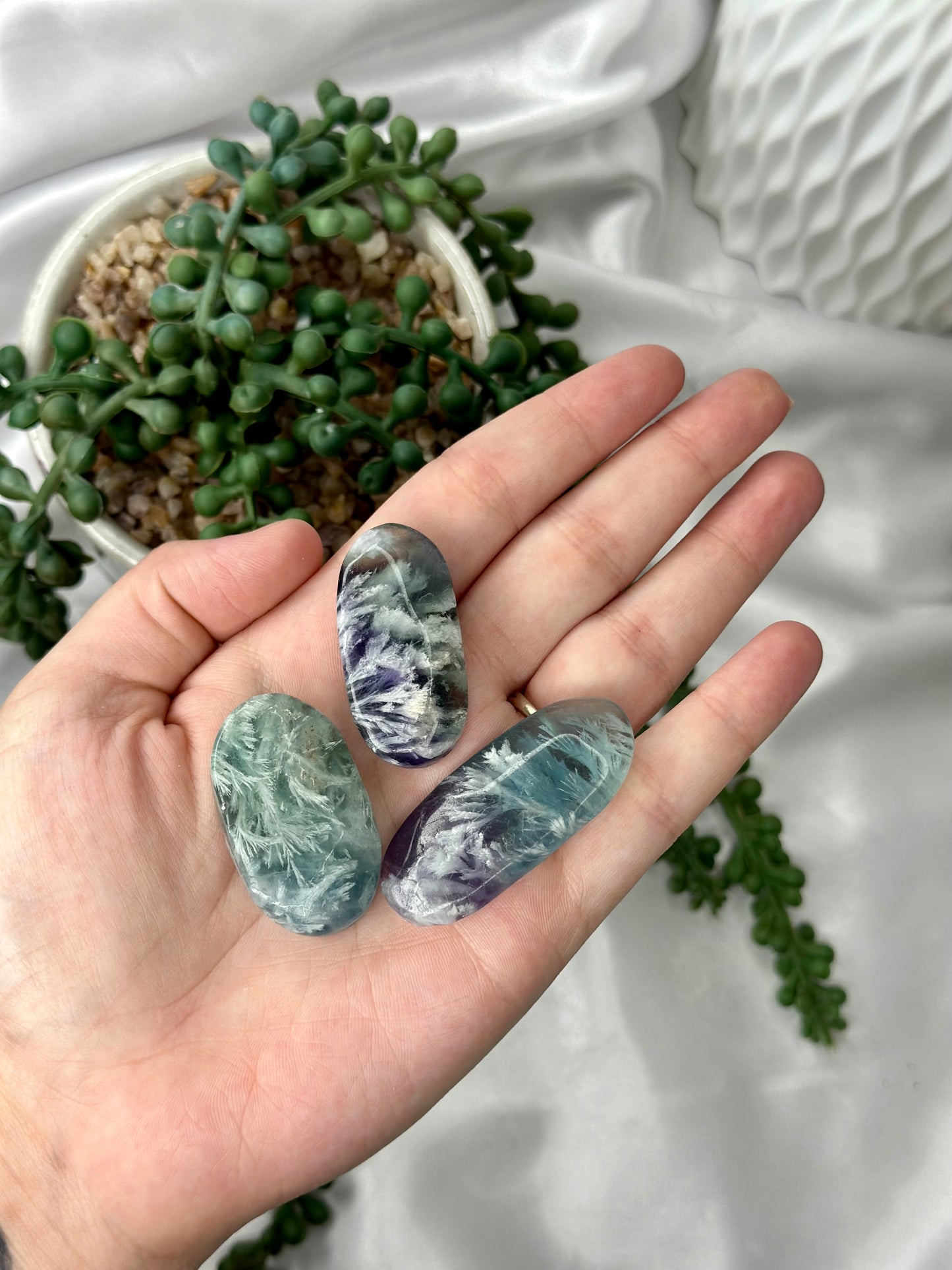 Feather Fluorite Mini Palms