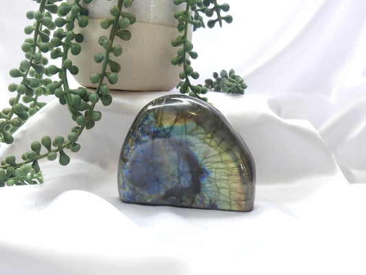 Labradorite Freeform