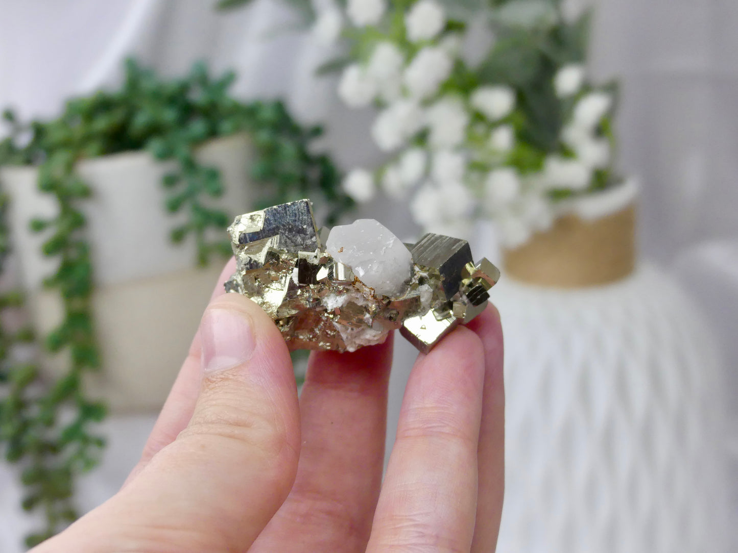 Cube Pyrite With Quartz (C)