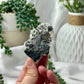 Pure Selenite With Pyrite (HQ) (D)