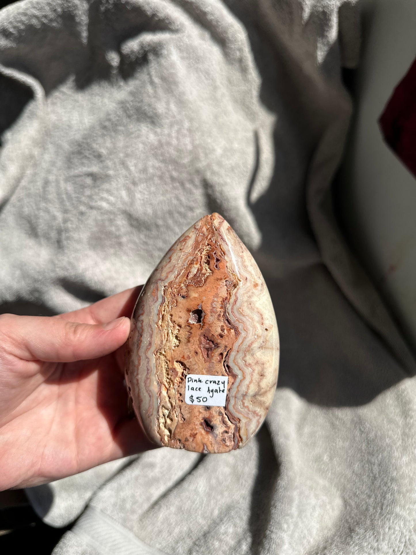 Pink Crazy Lace Freeform