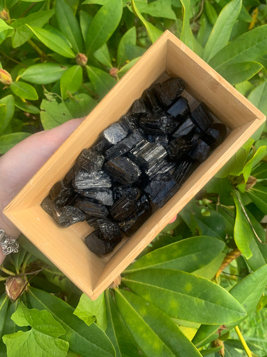 Rough Black Tourmaline (Small)